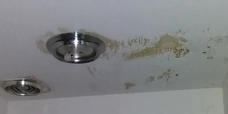 Water stain spreading across a ceiling beside a light and an air vent